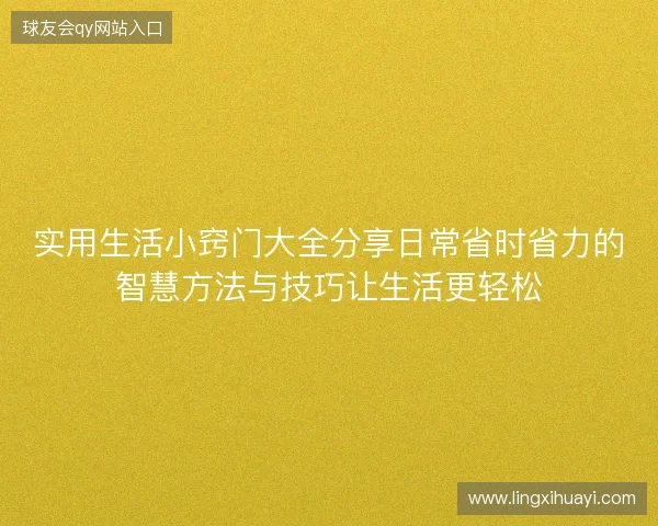 实用生活小窍门大全分享日常省时省力的智慧方法与技巧让生活更轻松